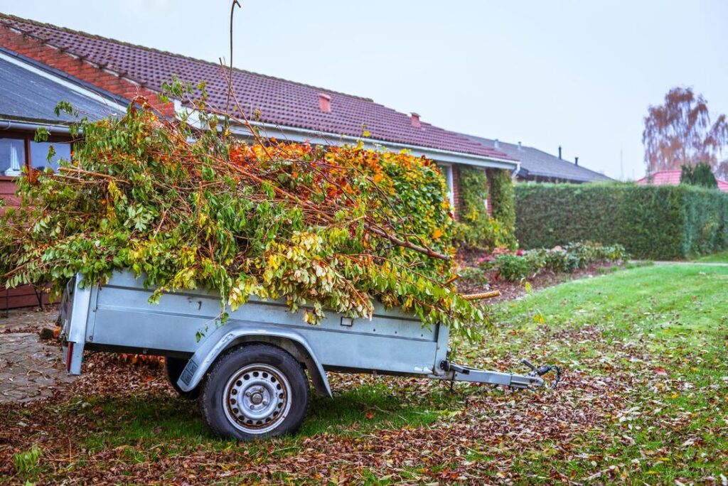 Property Cleanup Dumpster Services-Colorado Dumpster Services of Loveland